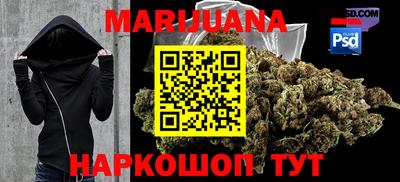 индика Гусиноозёрск