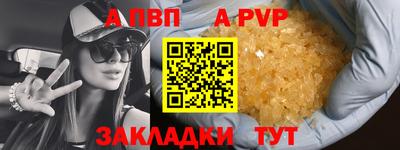 индика Гусиноозёрск