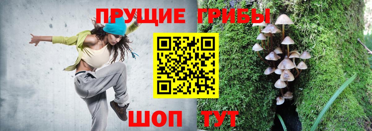 Псилоцибиновые грибы Psilocybine cubensis Москва