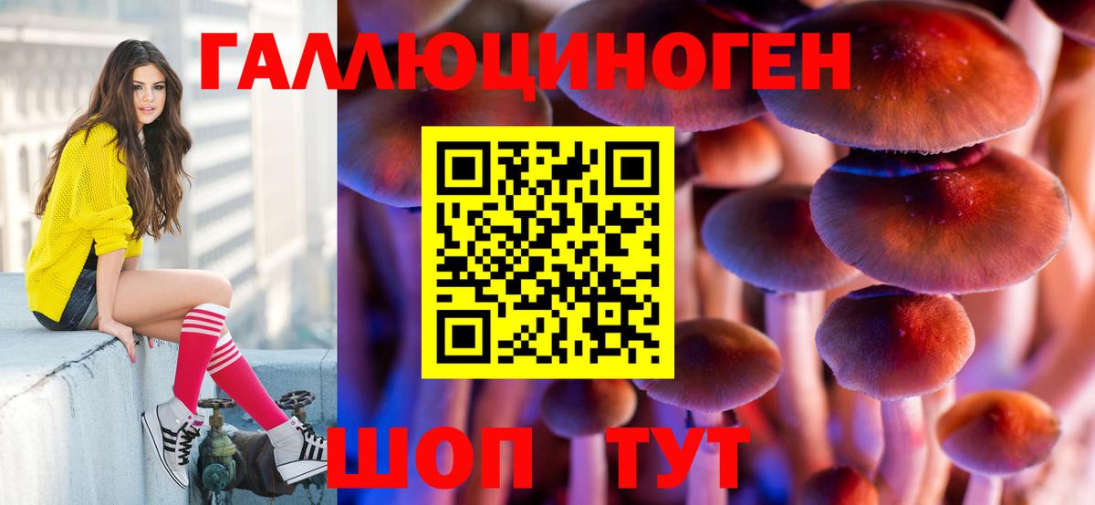 Москва  Галлюциногенные грибы GOLDEN TEACHER  Псилоцибиновые грибы мухоморы  Вход с VPN 